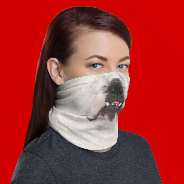 Neck Gaiter French Bulldog